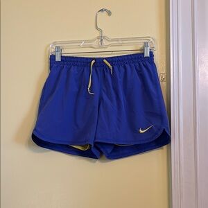Nike Women's Purple Athletic Shorts